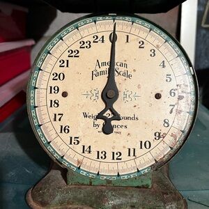Vintage Antique People American Family Scale Chicago Ill Kitchen decor green